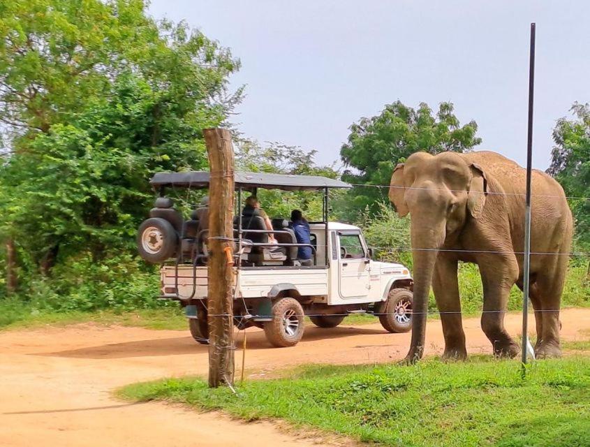 Wild Park Safari Home Stay Udawalawe Exterior photo