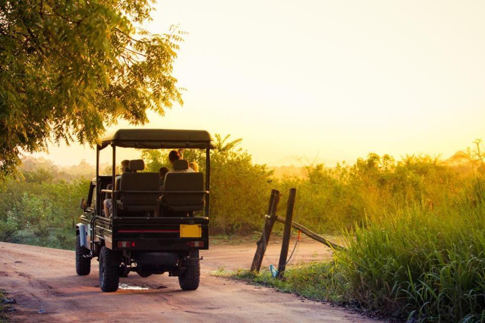 Wild Park Safari Home Stay Udawalawe Exterior photo